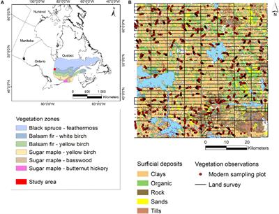 Composition Changes in the Boreal Mixedwood Forest of Western Quebec Since Euro-Canadian Settlement